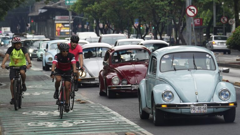 mexico beetles