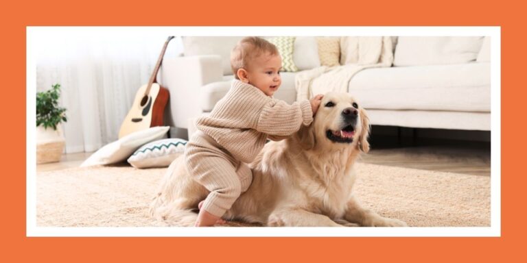 baby with dog