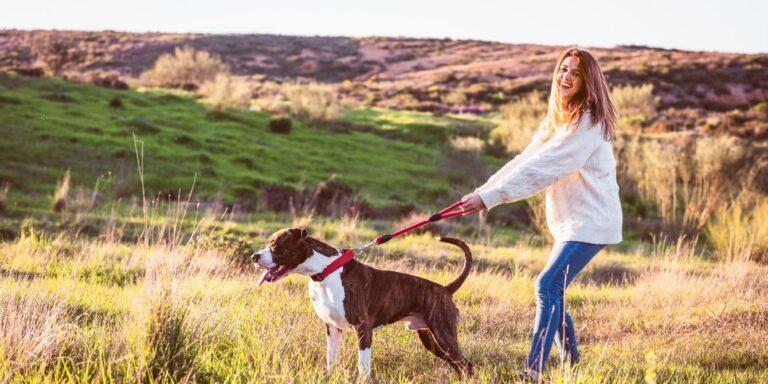 woman walking dog in mountains