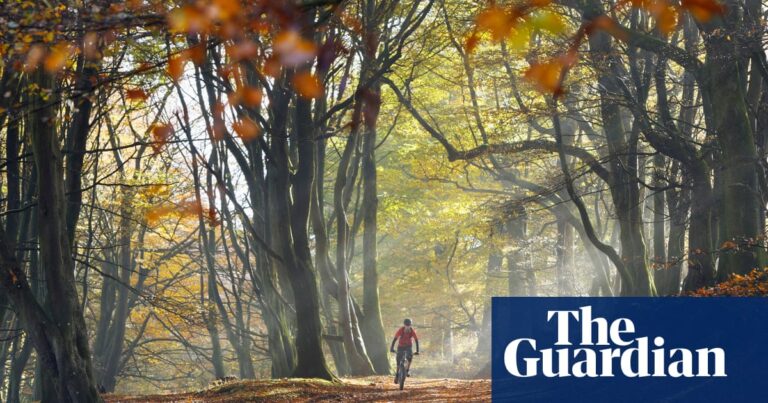 Share a tip on your favourite forest escapes in the UK