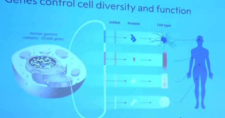 1007 en mrna