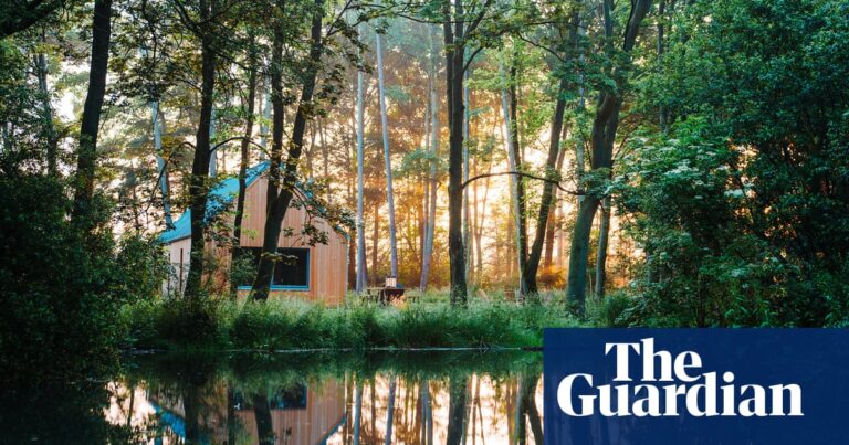 From cool cabins to country houses: six of Britain’s best forest escapes