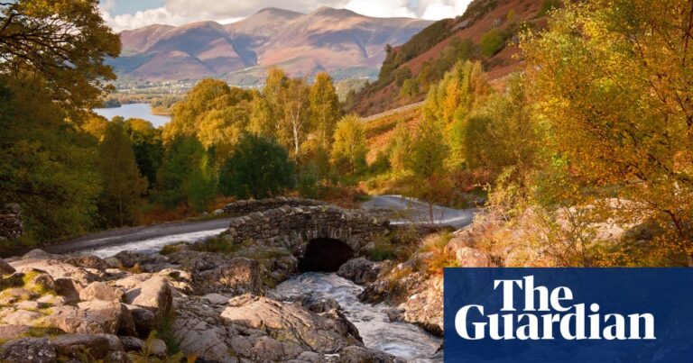 ‘A wildly beautiful place for autumn colour’: readers’ favourite UK forest trails