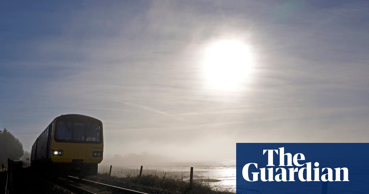 ‘In the distance I see tiny glowing silhouettes sprinkled like salt’: birdwatching on Devon’s Exe estuary