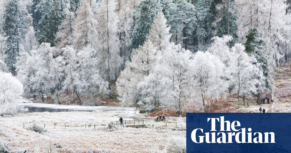 ‘At the top it’s a different world, crisp and pure’: readers’ favourite winter walks