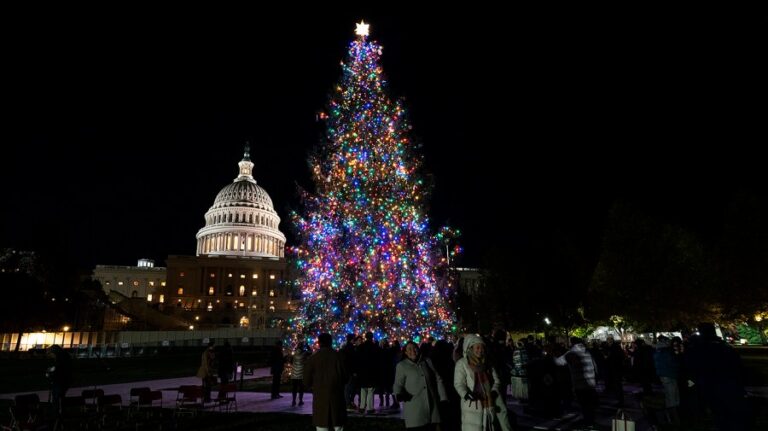 capitol christmas tree 120324gn08 w