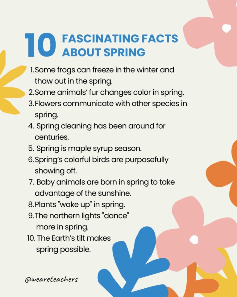 spring facts