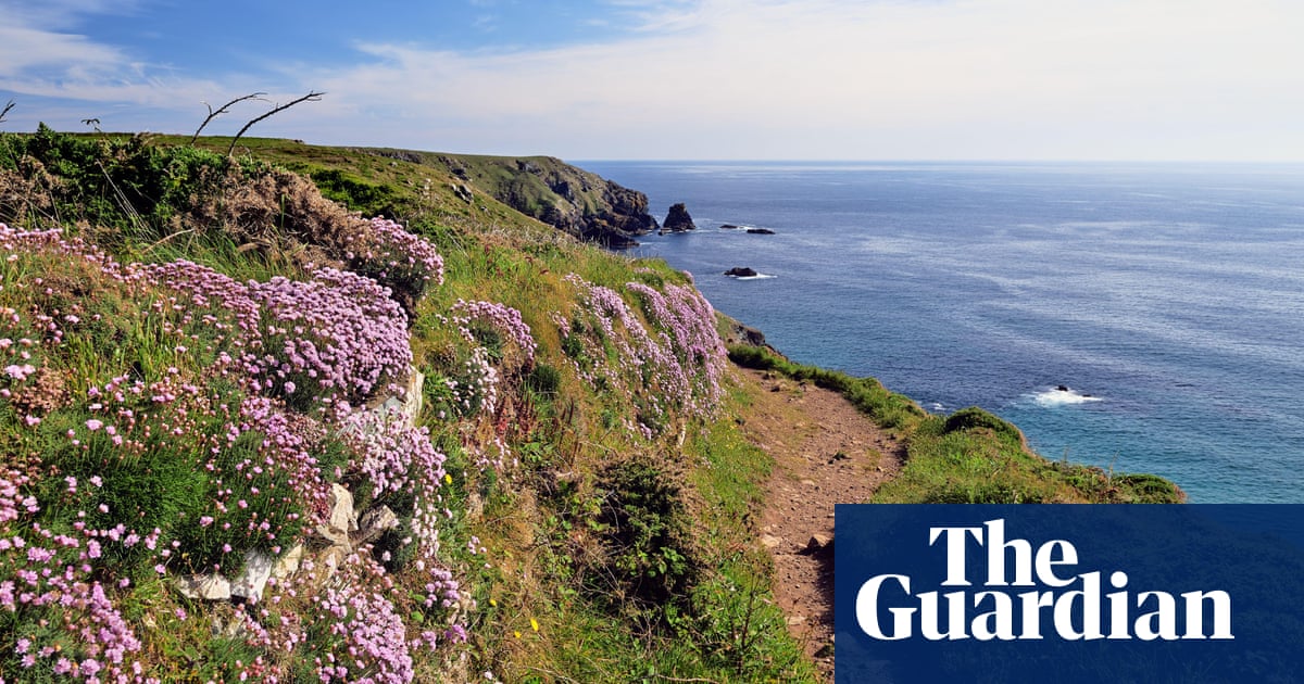 ‘Spring sings with birdlife and wildflowers’: readers’ favourite UK trips of the season