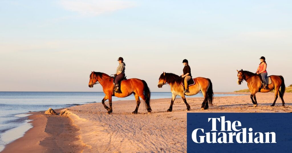 Share a tip on horse riding holidays in Europe, including the UK