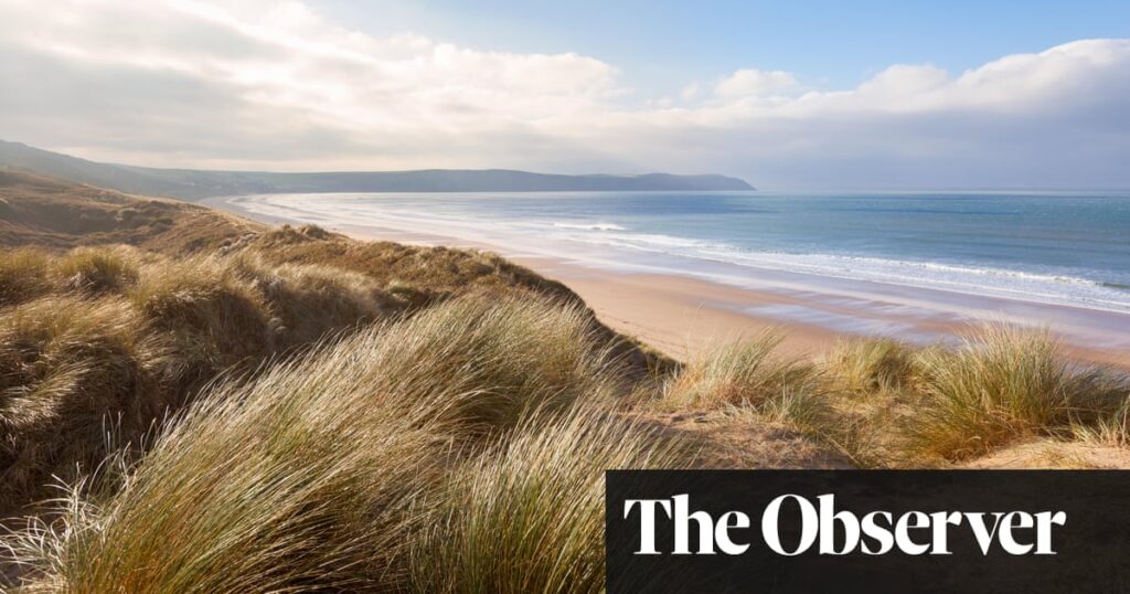 ‘An epic expanse of golden sand’: the sweeping appeal of North Devon
