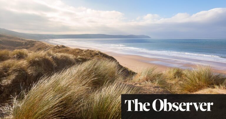 ‘An epic expanse of golden sand’: the sweeping appeal of North Devon
