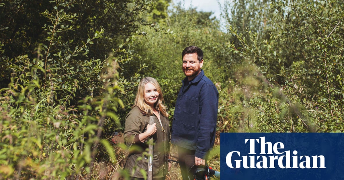 Giving back to the land: an off-grid eco-guesthouse in a ‘quietly radical corner’ of south-west Ireland