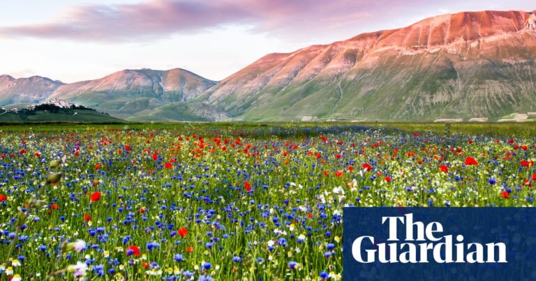 Summer in Europe’s lakes and mountains: 15 of the best holidays