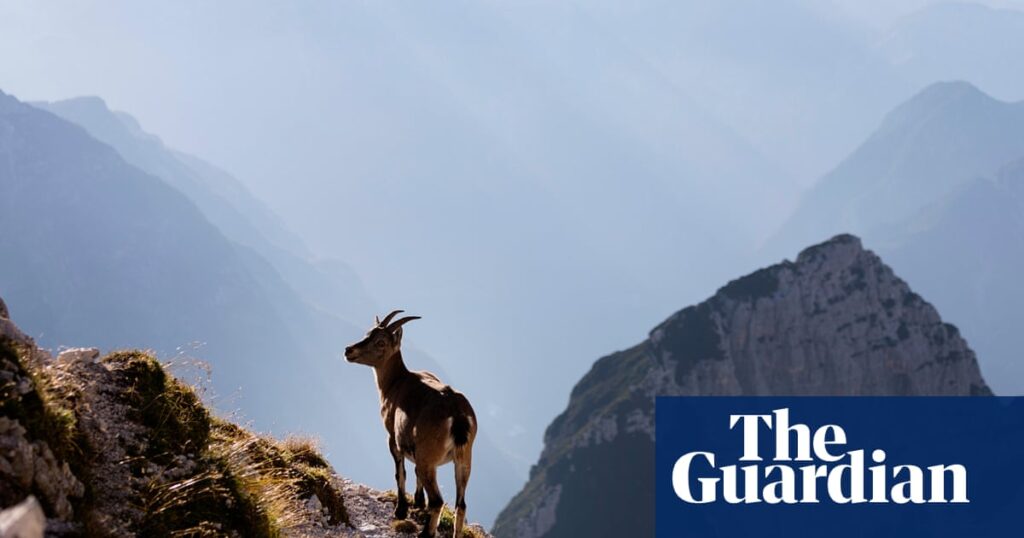 ‘If you love adventure but not tourists’: readers’ favourite wild places in Europe
