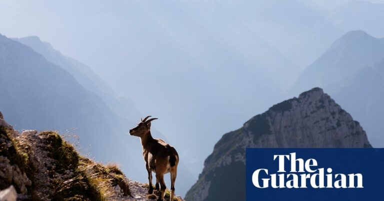 ‘If you love adventure but not tourists’: readers’ favourite wild places in Europe