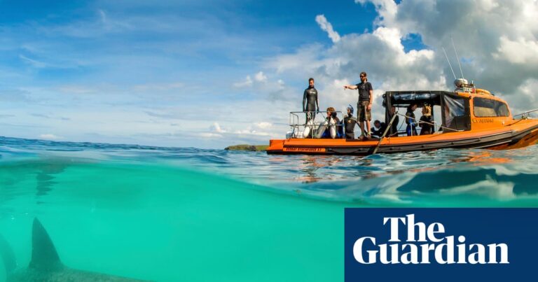 20 family nature holidays in the UK – from kayaking to stargazing and whale watching