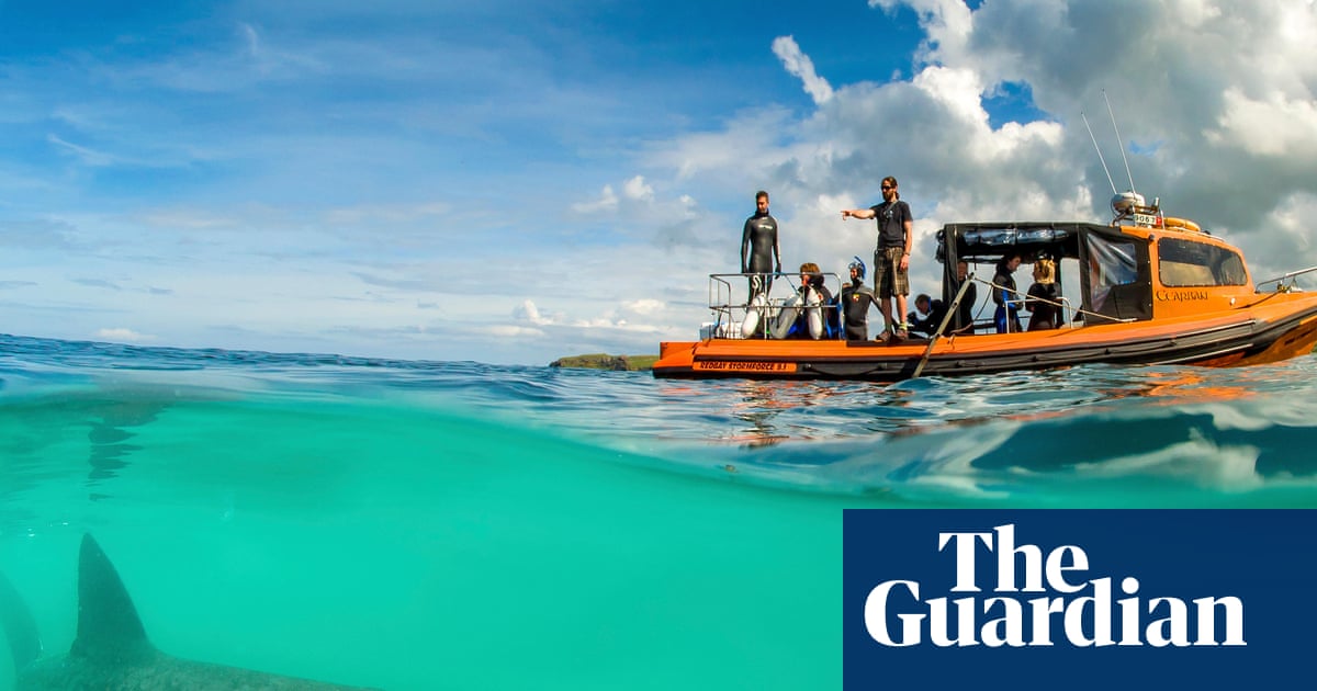20 family nature holidays in the UK – from kayaking to stargazing and whale watching