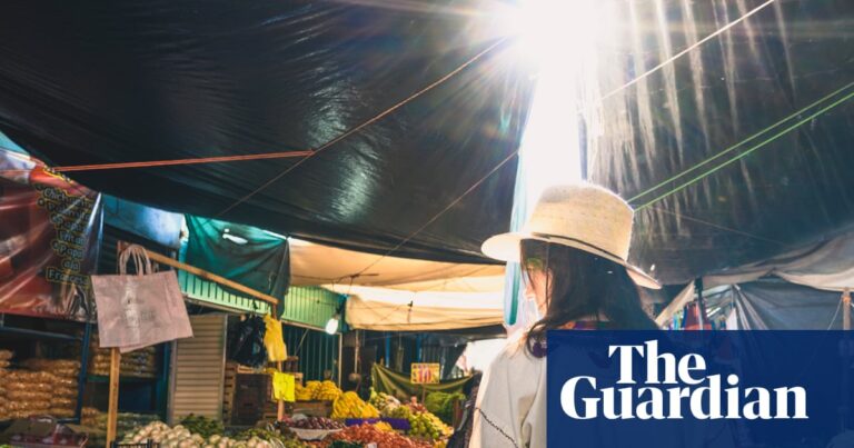 ‘Don’t ever assume there’s anything to eat!’ 29 tips for perfect vegan holidays, from where to go to how to order